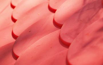 Petsoe End plastic roof costs